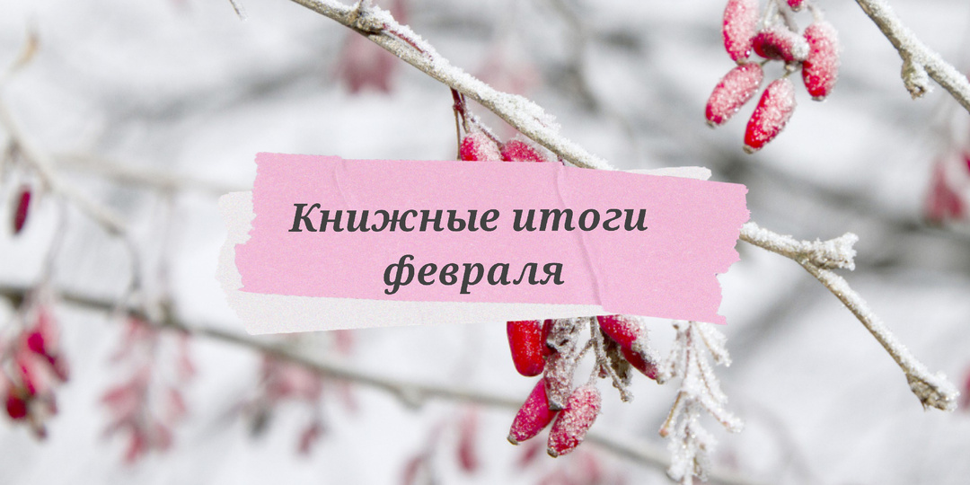 Февральские книжные итоги.