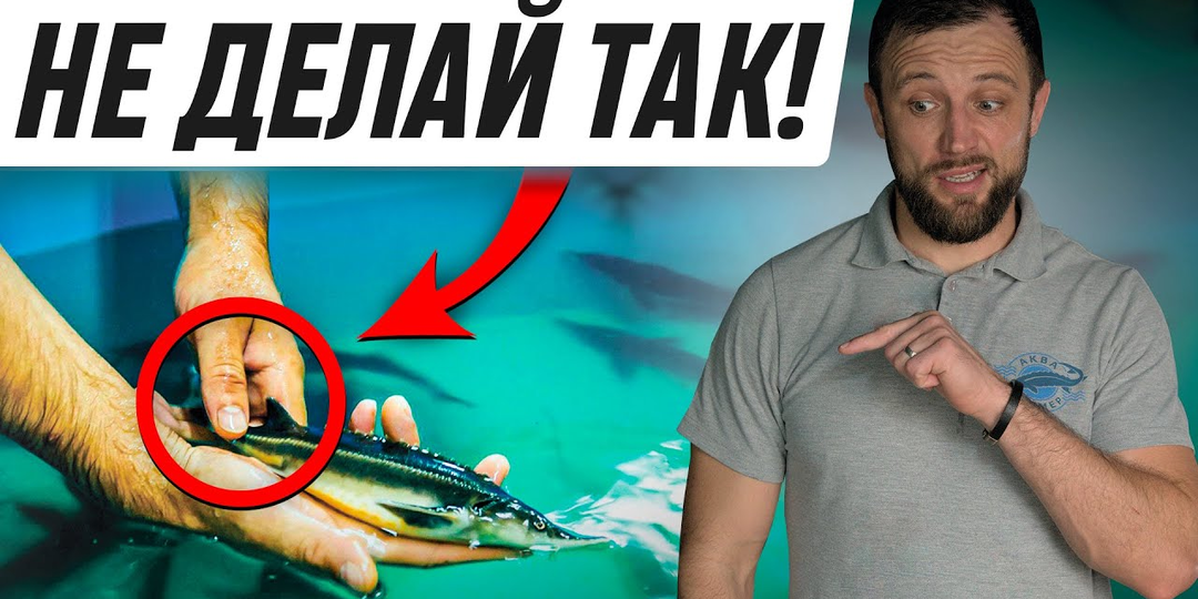 Рыба в УЗВ не растёт: главные причины, почему прироста нет (и что проверять в первую очередь)