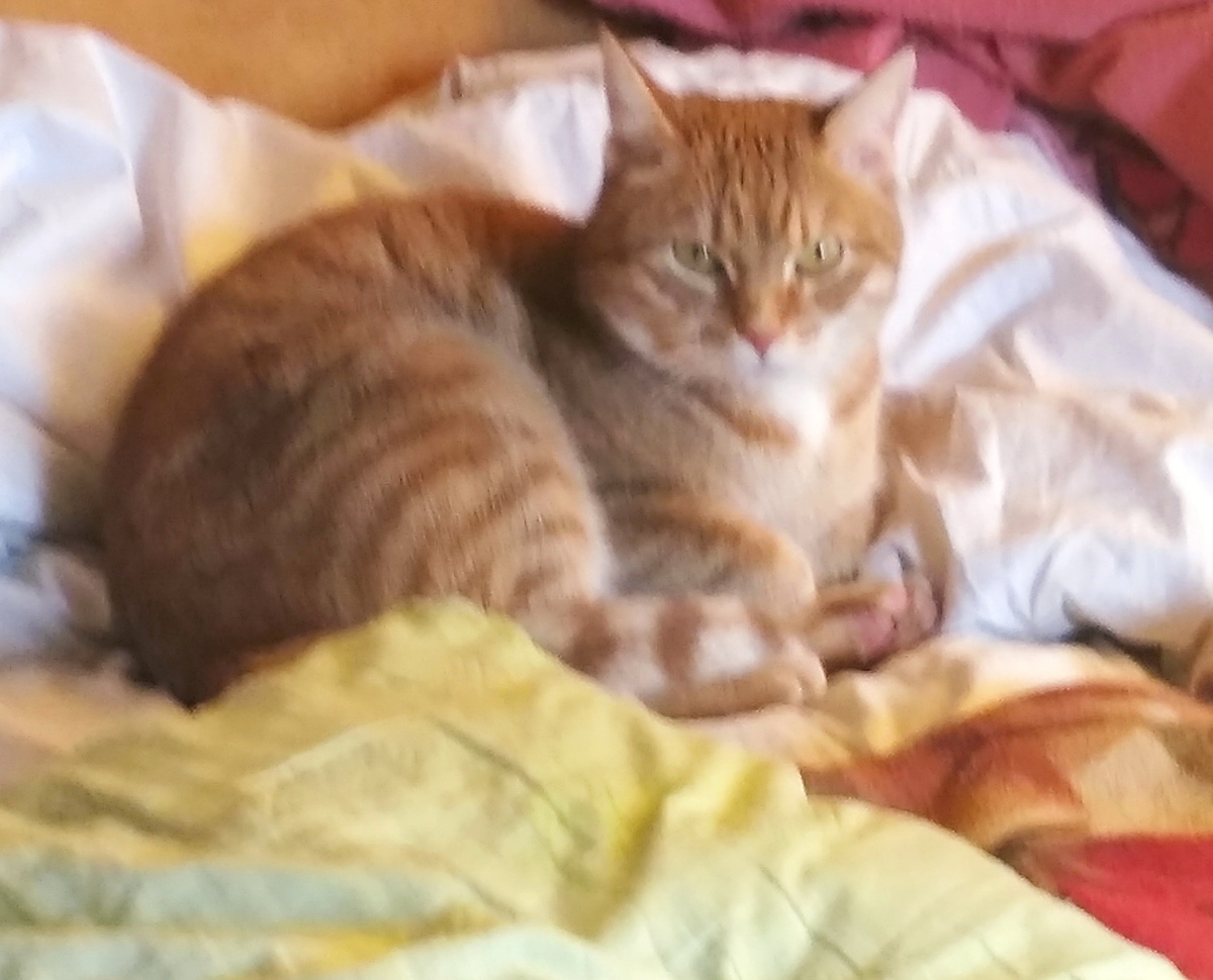 личное фото 