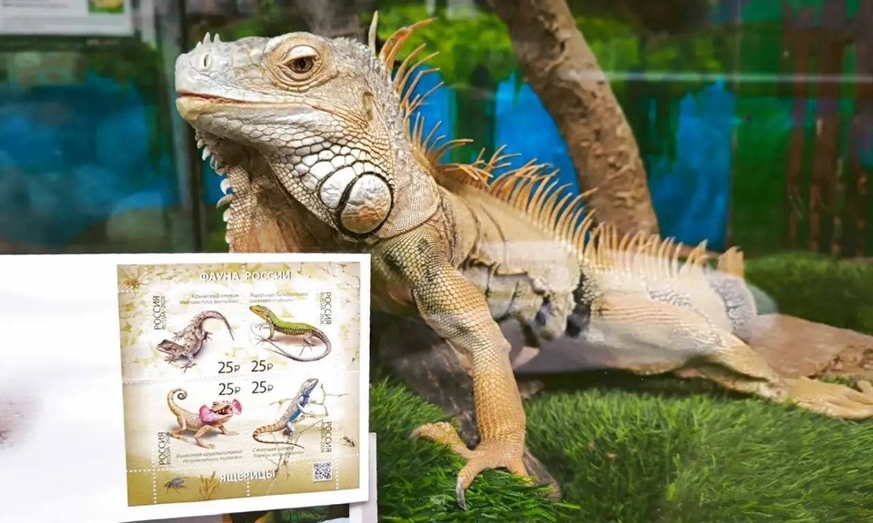    В Самаре прошла торжественная церемония гашения почтовых марок из серии «Фауна России». Фото: Министерство культуры Самарской области