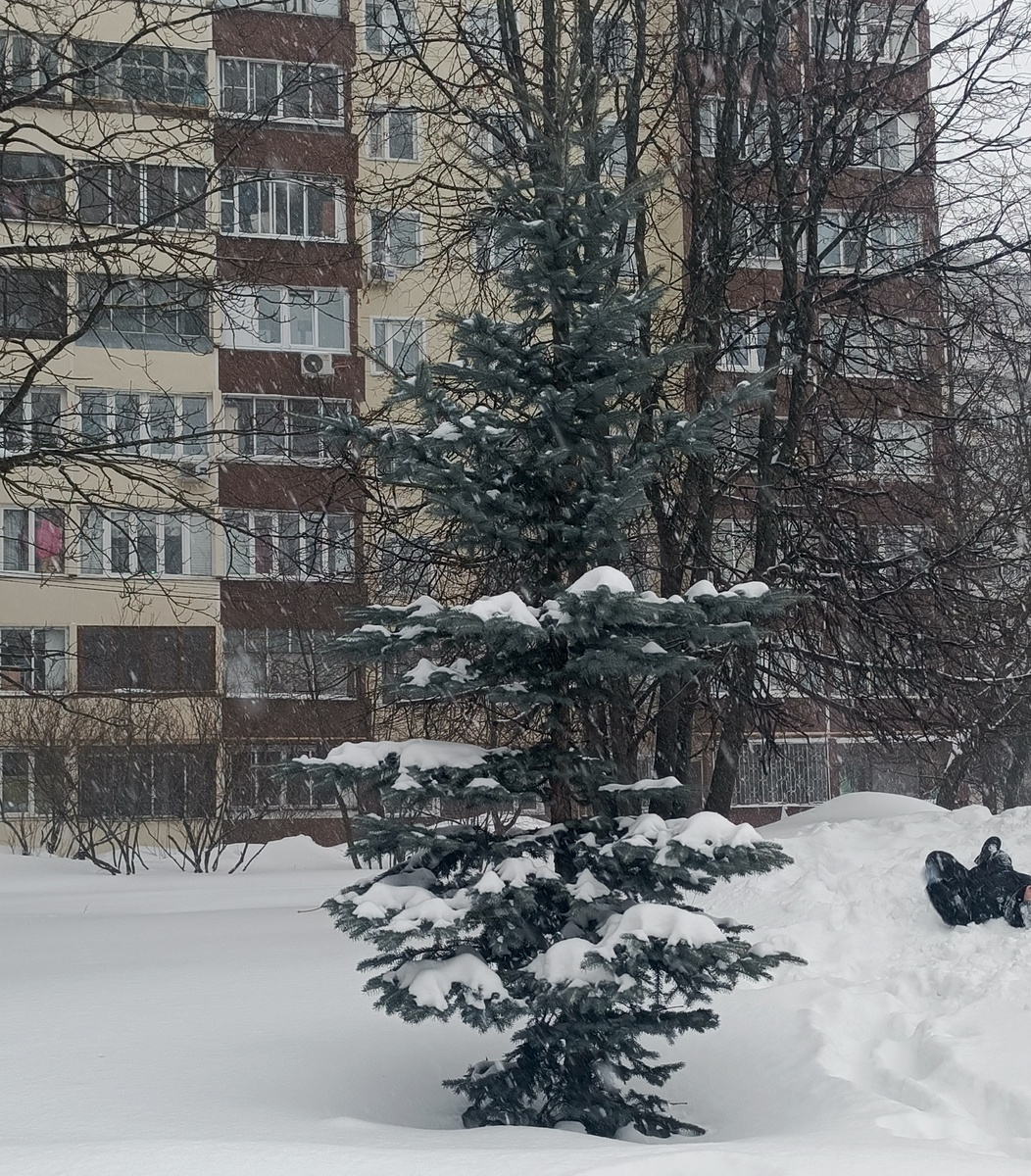 Фото с прогулки