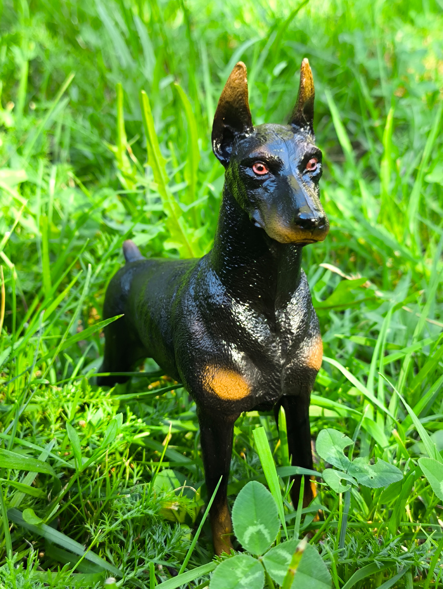 Летнее фото. 