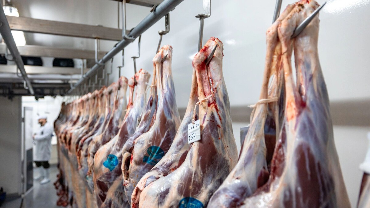    Фото: Сергей Зубков/«Ямал-Медиа»