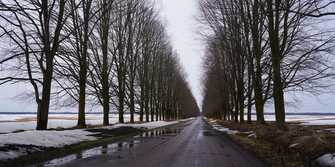 Тёплый фронт придёт во Владимирскую область в субботу