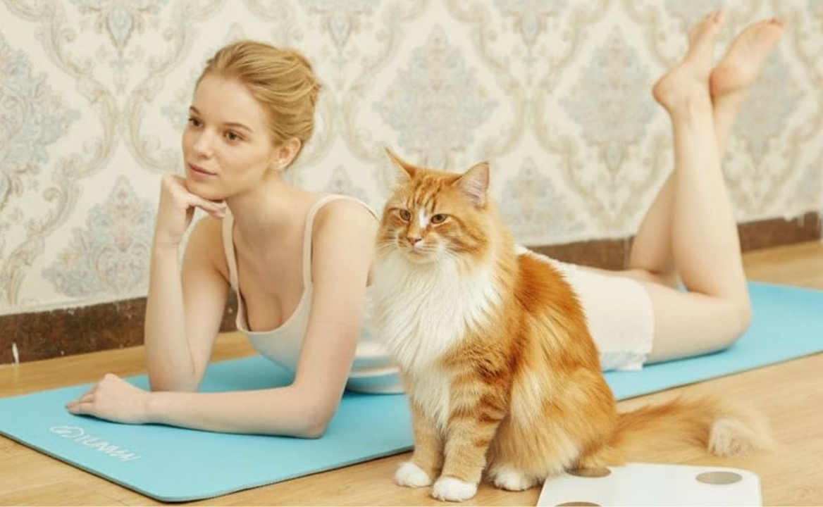 Самый простой способ восстановления внутренней энергии это ничегонеделание.
