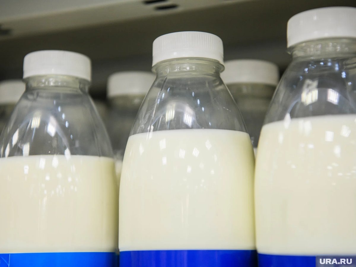    По России растет доля поддельной молочной продукции