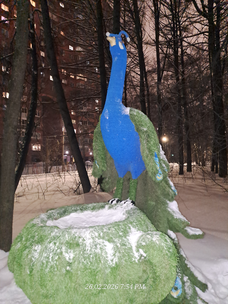 Зимушка зима. Наш парк в Химках.