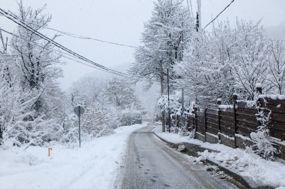    Сергей Лантюхов/NEWS.ru
