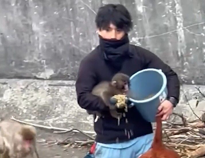     / Источник: кадр из видео
