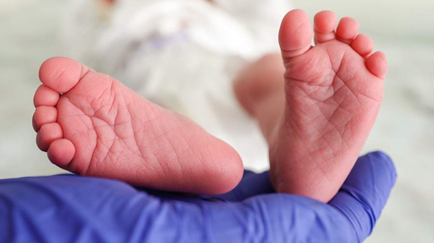    Фото: ИЗВЕСТИЯ/Анна Селина