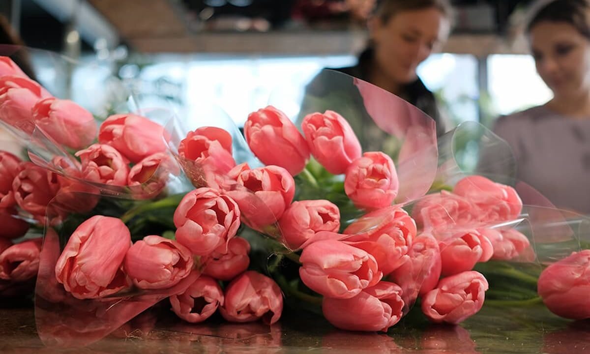    Фото Николая Хижняка, «Кубань 24»