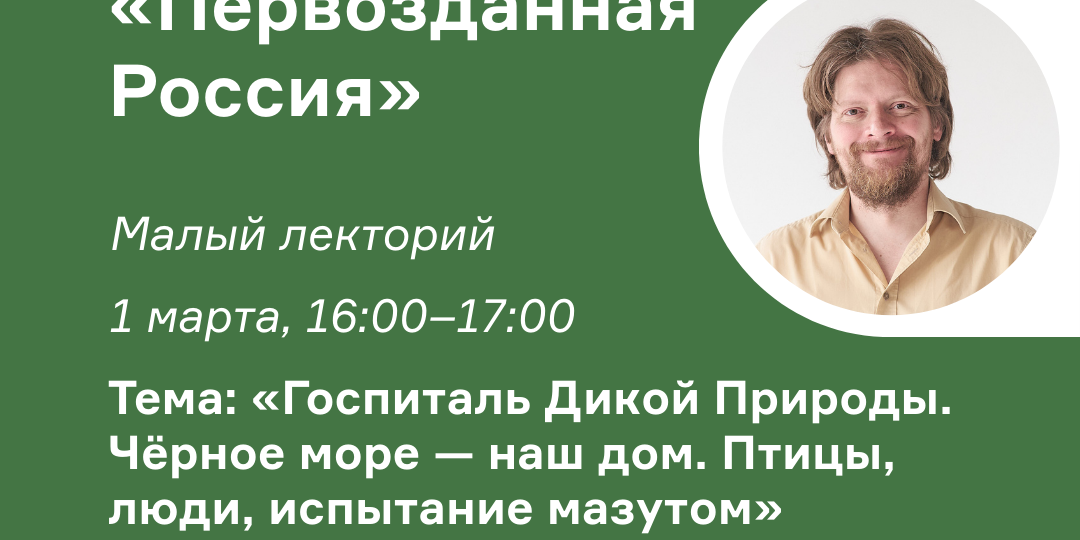 Госпиталь Дикой Природы. Чёрное море — наш дом. Птицы, люди, испытание мазутом