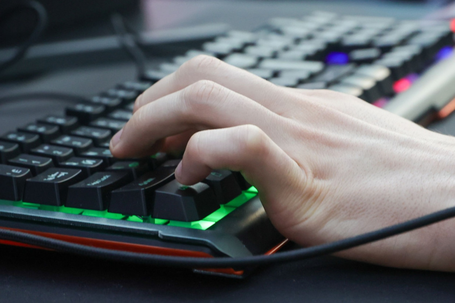    Наталья Шатохина/NEWS.ru