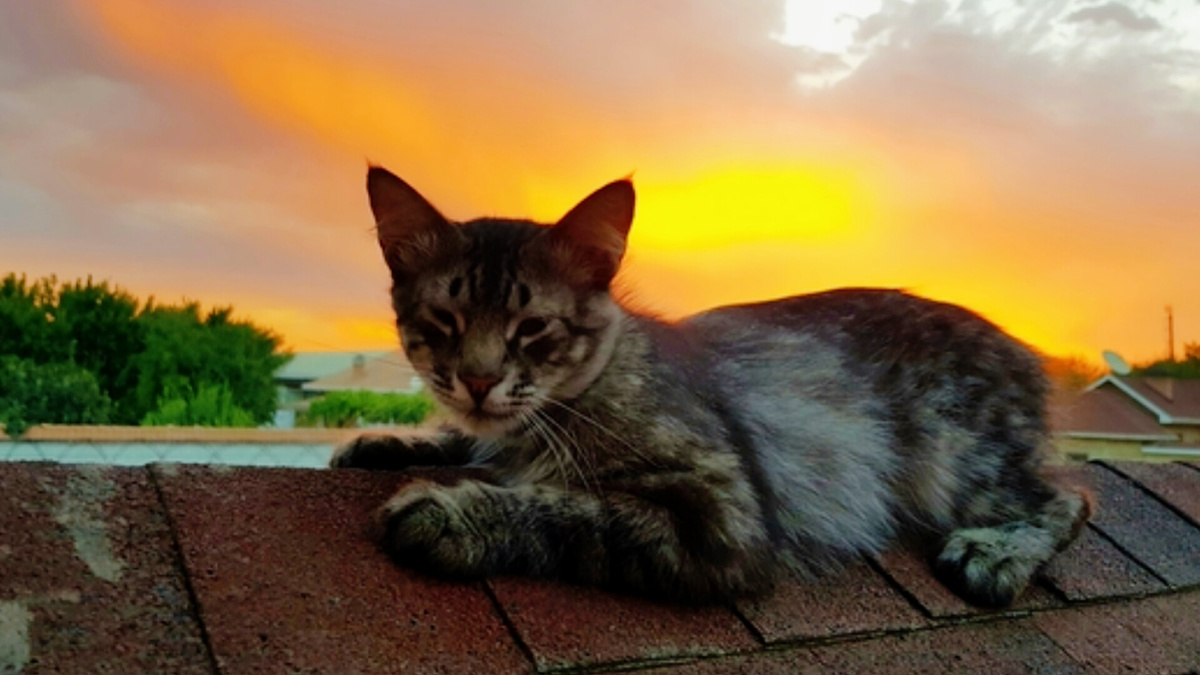 А вы хоть раз встречали рассвет на крыше дома? Попробуйте! ЕЩЕ фото --->>