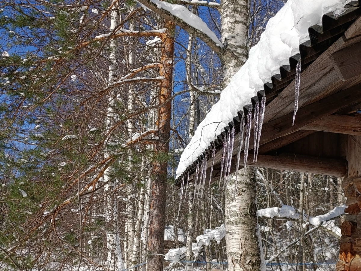    Ольга Ефимова