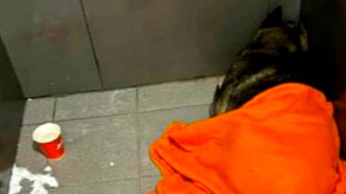 Фотография из открытых источников 