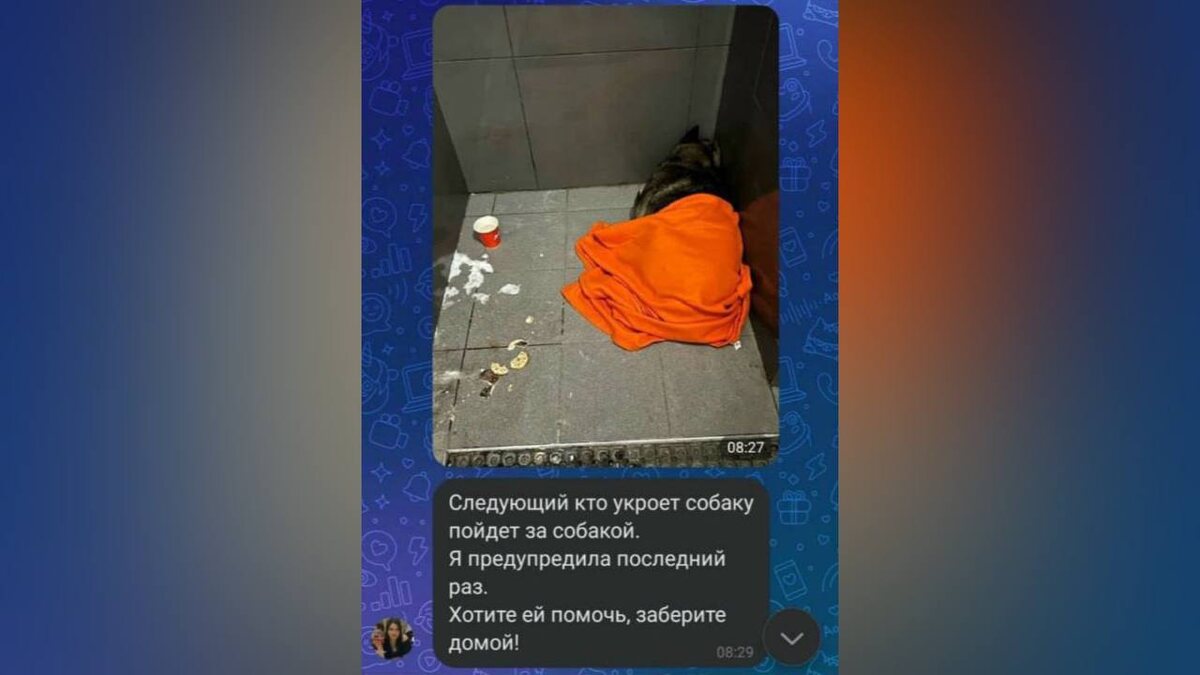 Фотографии взяты из открытых источников 