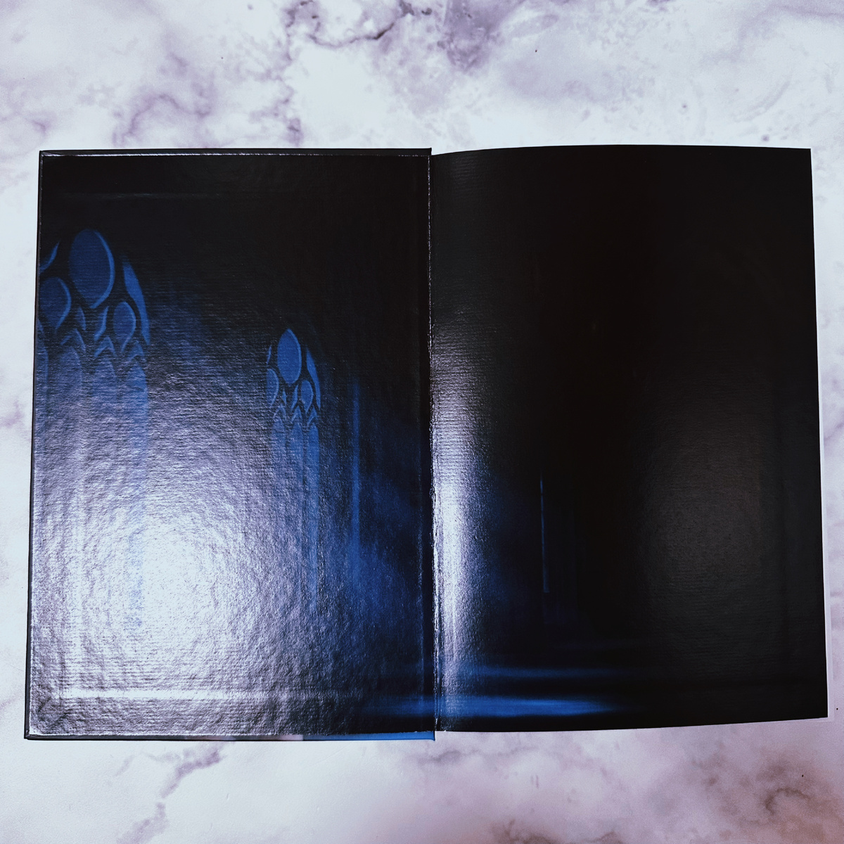 Фото Анны Карповой/Книжная лавка: жизнь любителя почитать