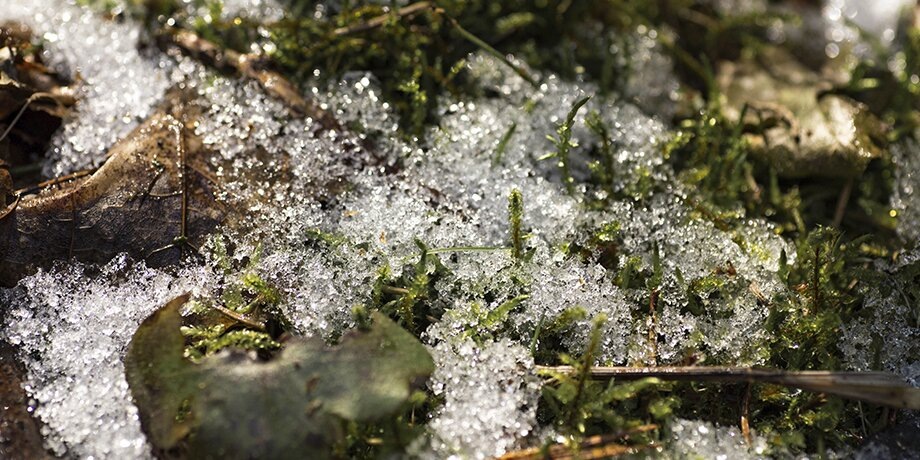    Фото: 123RF.com/alekoziura