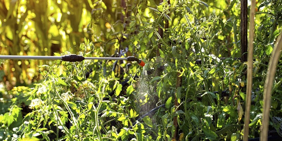    Фото: 123RF.com/henadzipechan