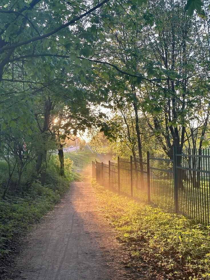 #любовь #романтика #май #весна #быт #хозяйка