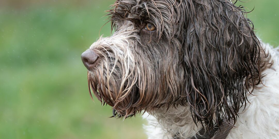 Ненормальная