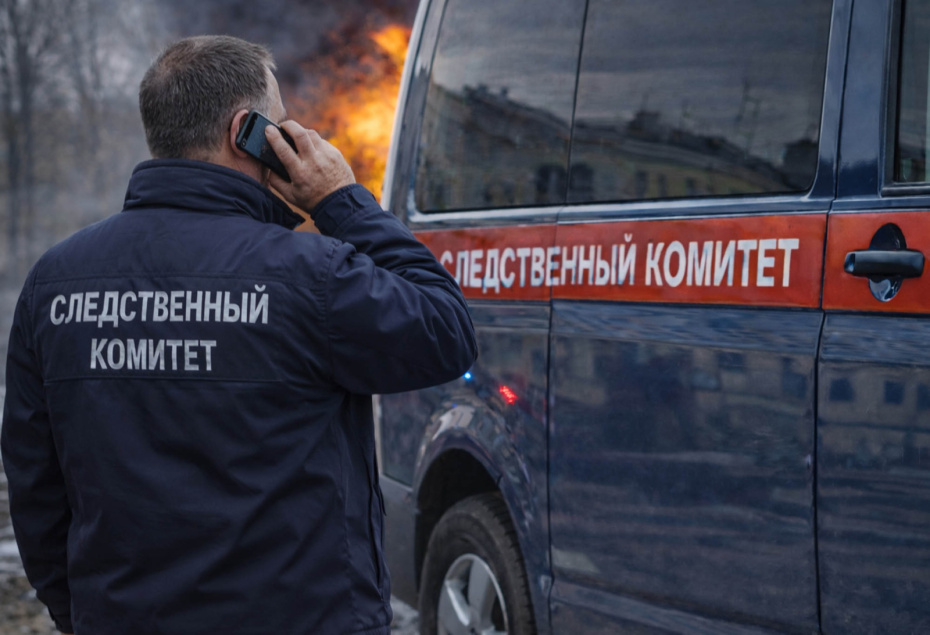    Иллюстрация NEWS.ru