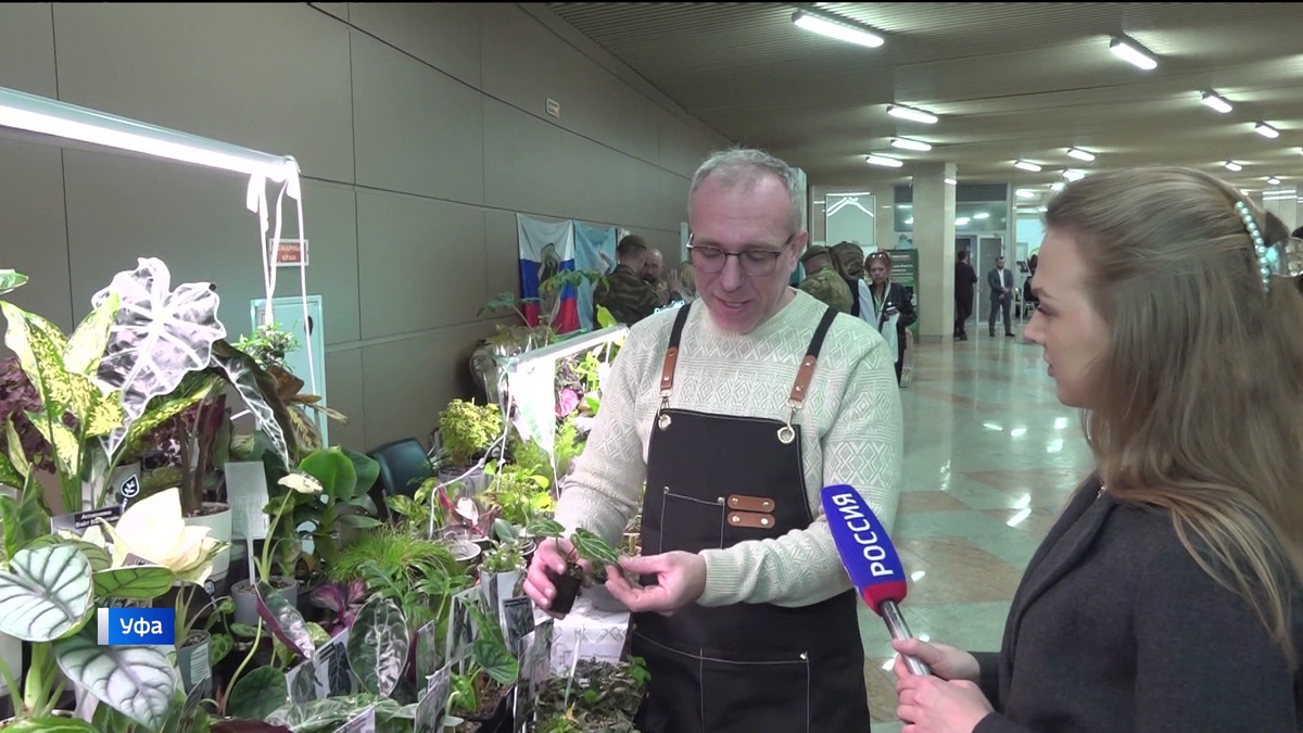    Цифровая торговля и 175 млн рублей на поддержку СНТ: как в Уфе прошел форум «СМАРТ-садовод»
