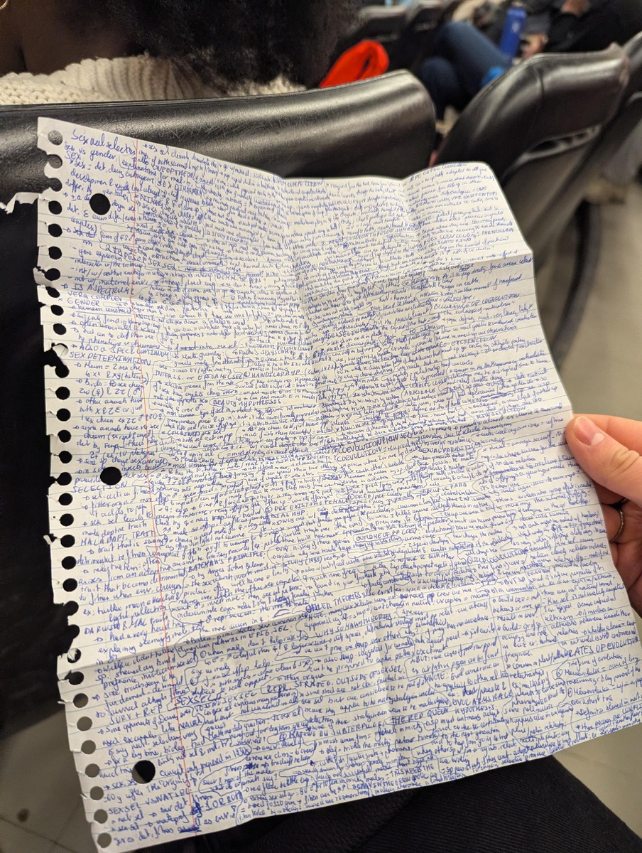 Источник: oswald8dogs / https://bit.ly/4aZvdwU 