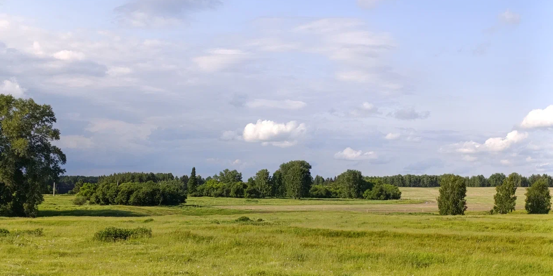 Из Интернета - в поле