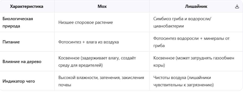 Что такое мох и лишайник: ключевые различия