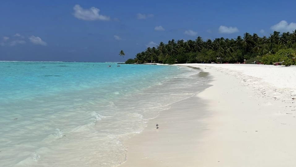 Можно ли алкоголь на Мальдивы? Нужна ли страховка? Погода на Мальдивах. Ответы туристам 2026