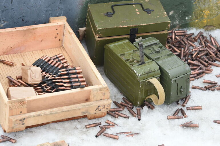   Игорь Самохвалов/«Парламентская газета»