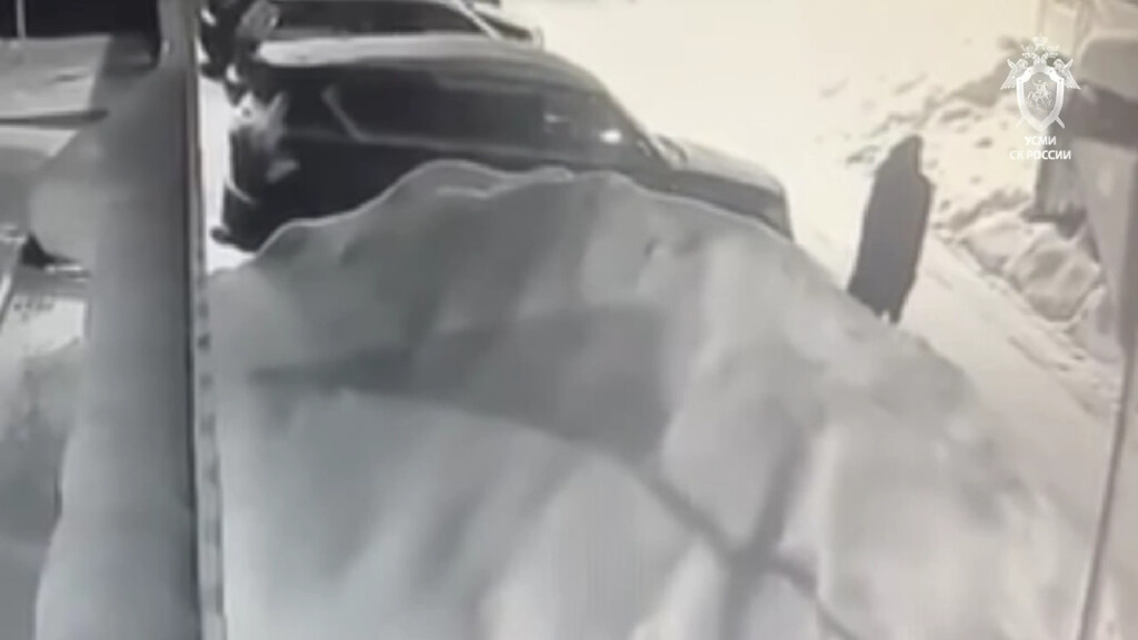    Фото: кадр видео СУ СК России по Подмосковью