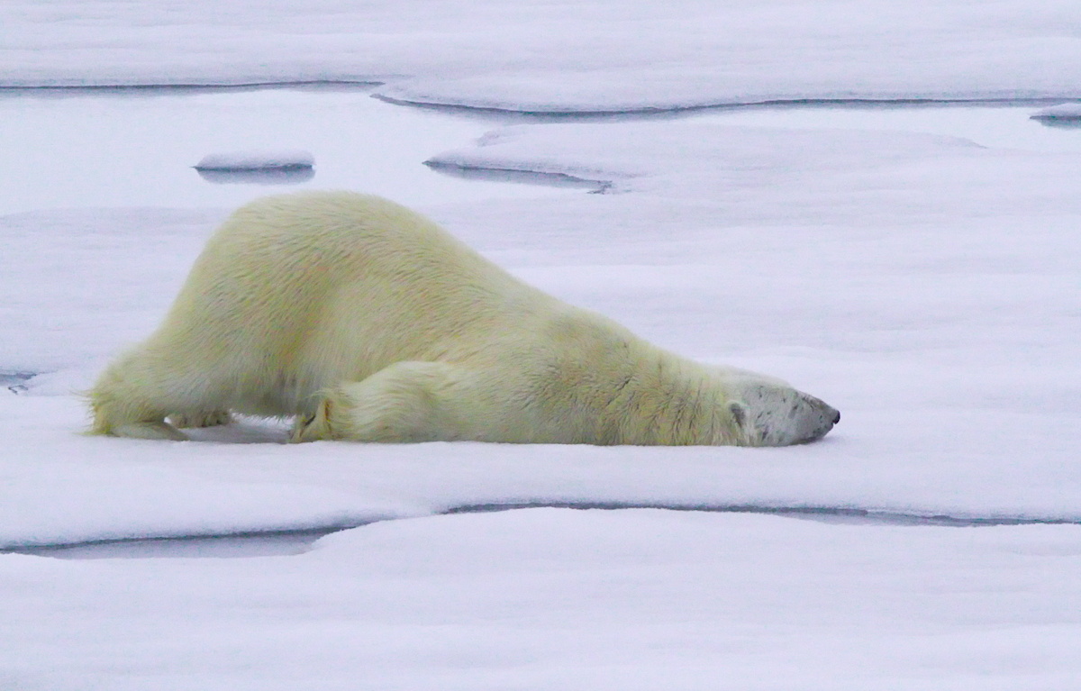 Фото: Вадим Балакин / GeoPhoto