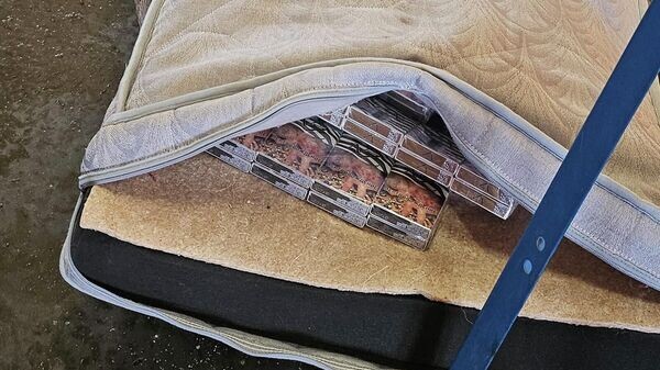    © Photo : Social media page of Lietuvos muitinė