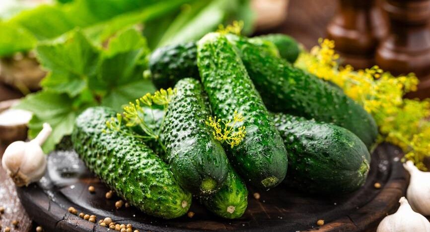    Ingram Publishing / Фотобанк Лори