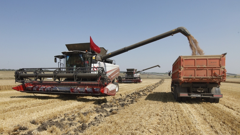      Фото: ИА «Победа26»