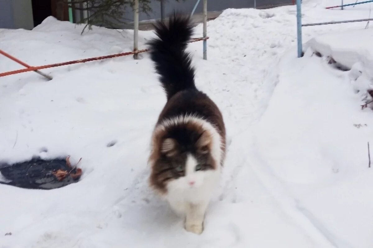    В субботу в Калининградской области потеплеет до +13 градусов