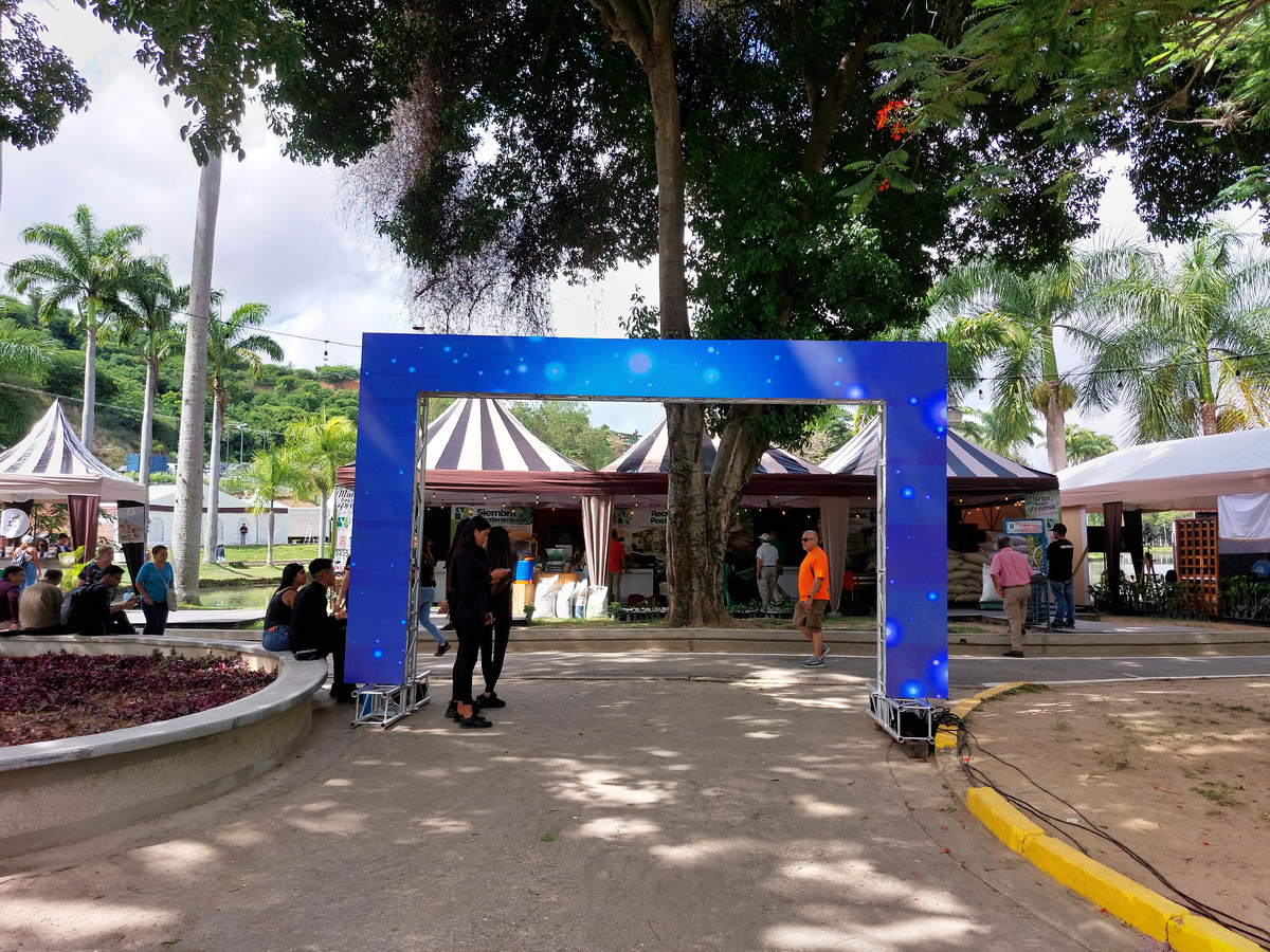 Вход на фестиваль