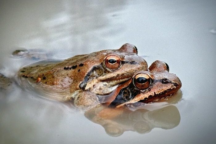 Фото: Наталья Елагина