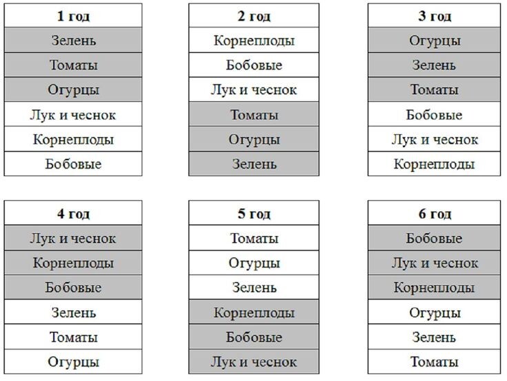 Планирование севооборота на весну: что после чего сажать на грядках