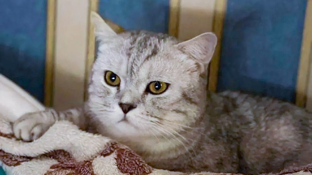    Источник: Фото: пресс-служба комплекса городского хозяйства Москвы