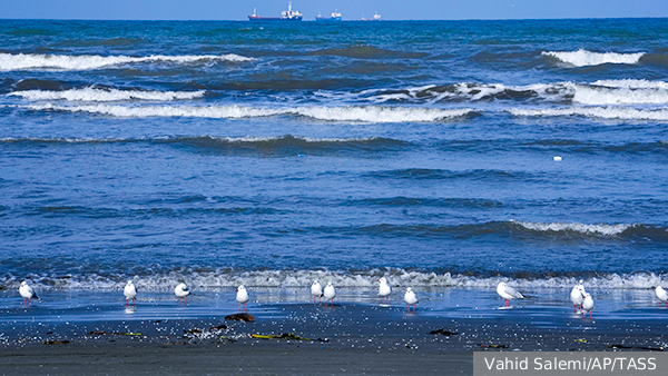     Фото: Vahid Salemi/AP/TASS   
 Текст: Тимур Шайдуллин