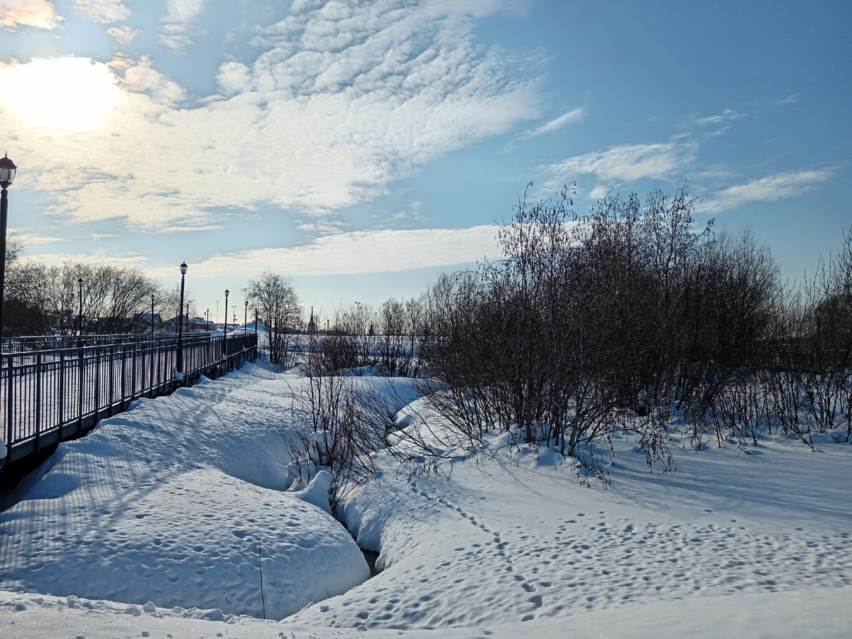 Неизвестные следы на снежном покрывале. 