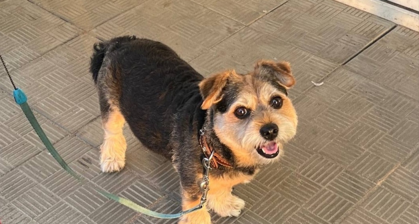    фото из архива редакции