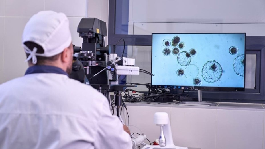    Автор фото: Пресс-служба правительства Петербурга