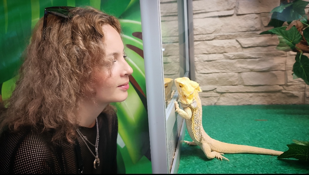 Ящерка грустно смотрела через стекло. Скорее всего планировала побег
