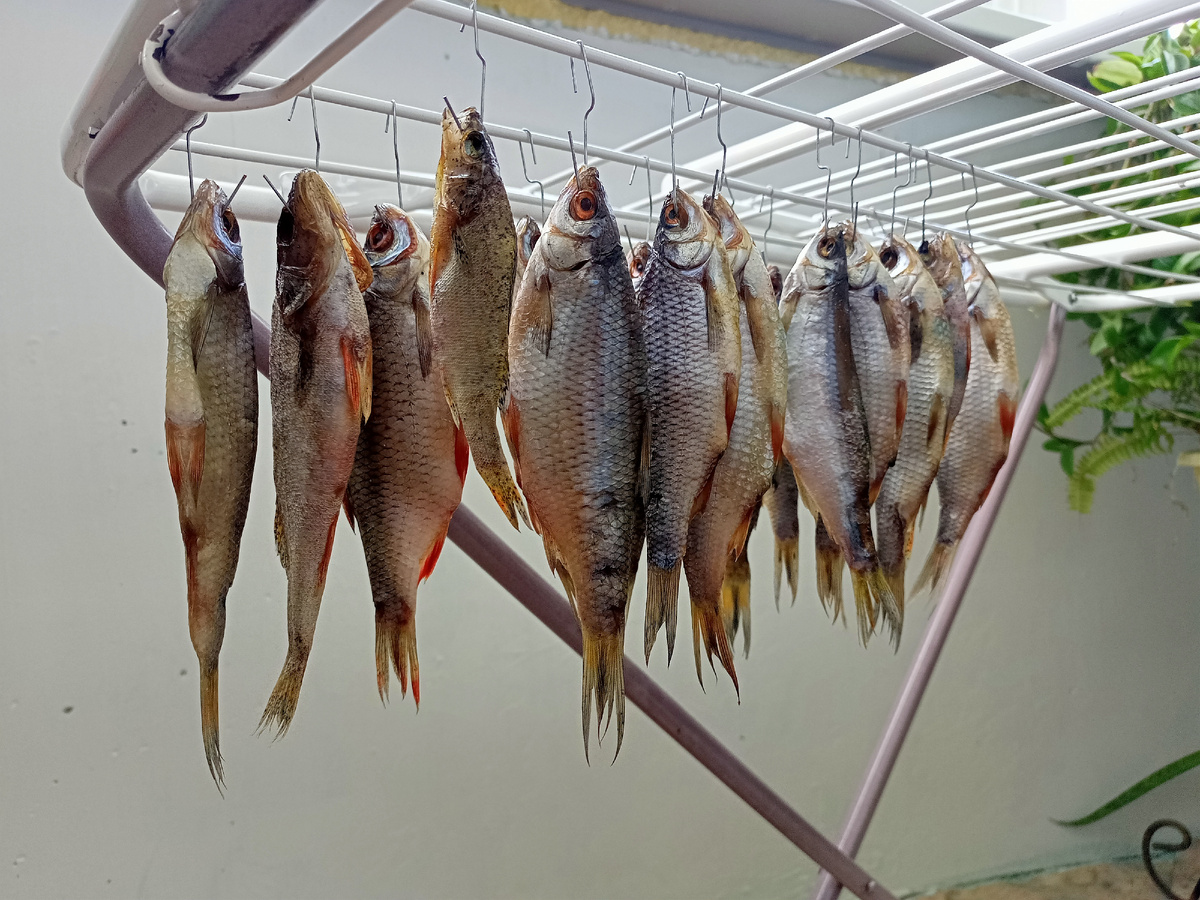 Вкусная рыба вялится