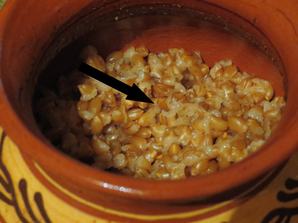    Забытый рецепт каши из желудей который спасал целые деревни